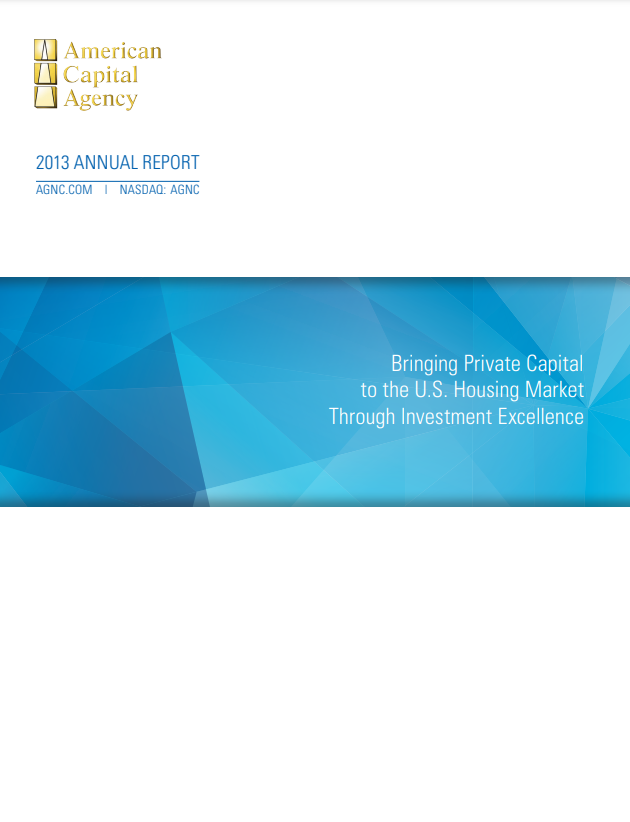 2013 Annual Report